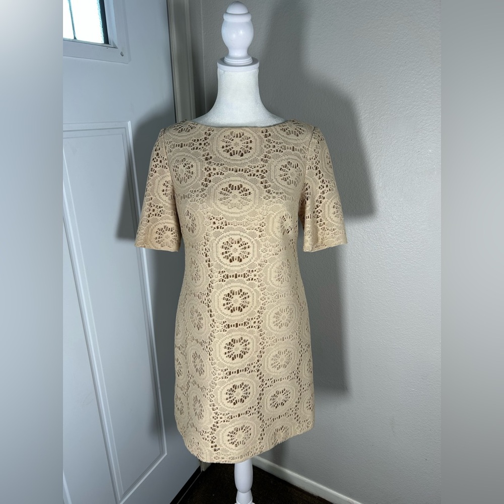 Women’s Adrianna Papell Dress Size 4P Eyelet Crochet Tan Shift Mod Mini Dress